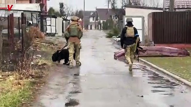 Ukrainian Soldiers Rescue Dog Found in Abandoned Village Near Kyiv