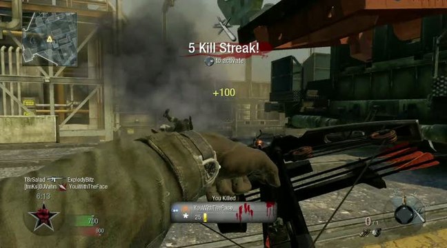 Call of Duty : Black Ops : Multijoueur