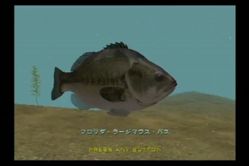 Big Catch Bass Fishing 2 : Ca, c'est du gros poisson !