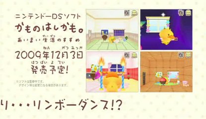 Kamo no Hashikamo : Un canard dans ta DS