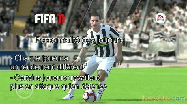 FIFA 11 : Personnalité des joueurs