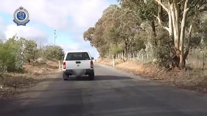 Strike Force Judy arrest in Yass