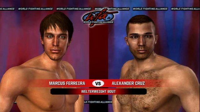 UFC 2010 Undisputed : Une foule de détails