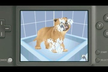 Me And My Dogs Amis pour toujours : Présentation officielle