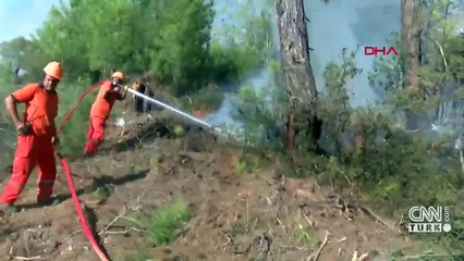 Yanan alanlar İHA'larla tohumlanacak