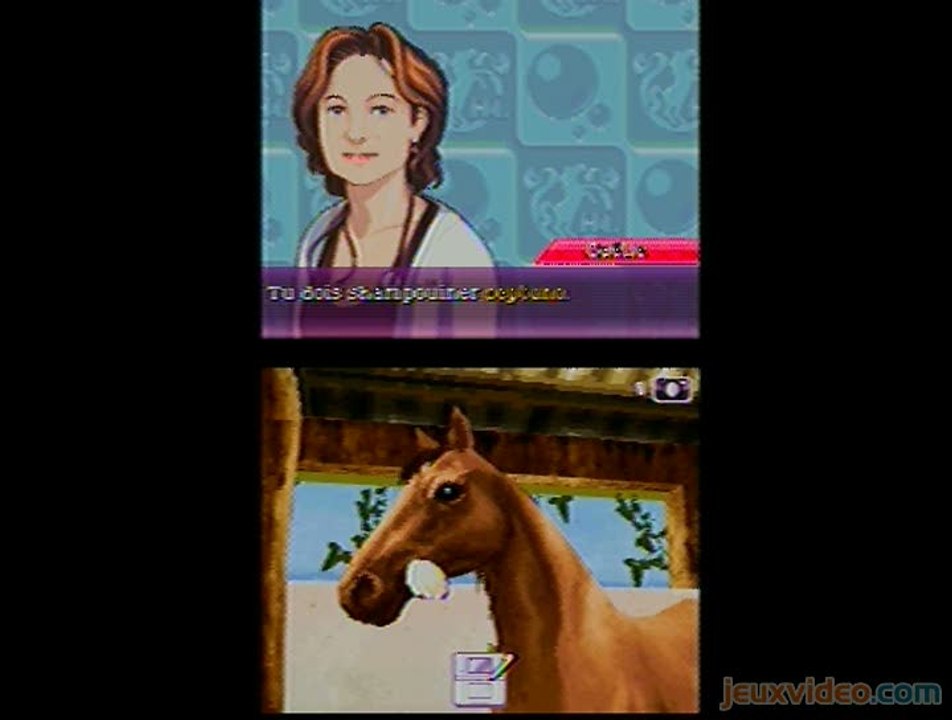 Horse Life 3 : Mon Haras, mes Chevaux :