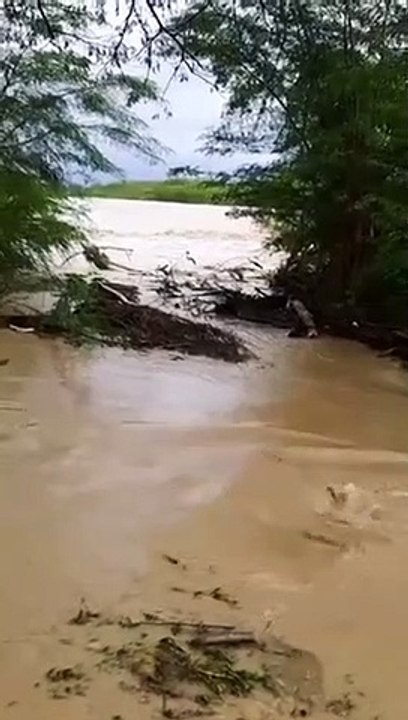 video Jean Suriel