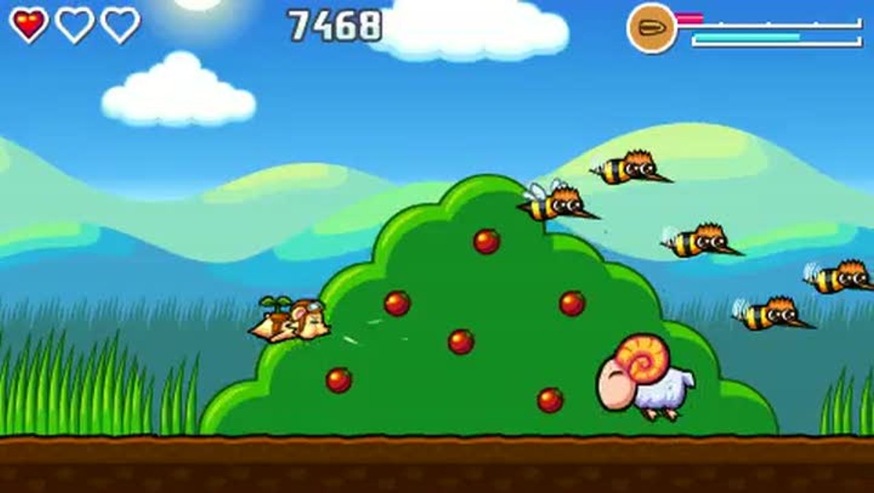 Flying Hamster : Leçon 3 : Baies rouges