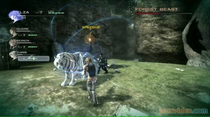 The Last Story : 3/3 : Forest Beast