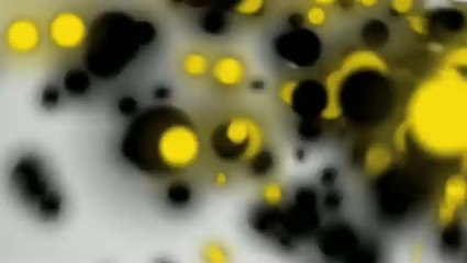 NatGeo Quiz! Wild Life : Trailer n°1