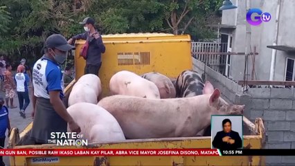 19 na baboy na hinihinalang positibo sa ASF, kinumpiska sa General Santos city | SONA