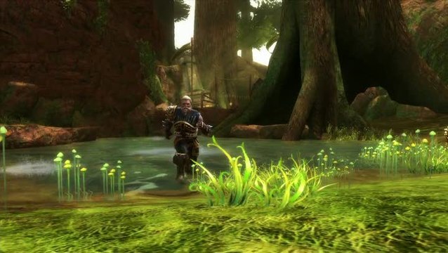 Les Royaumes d'Amalur : Reckoning : Guide du héros - Destiny and Fate