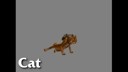 Torchlight II : Animaux de compagnie