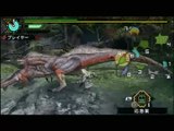 Monster Hunter Portable 3rd : Arsenal