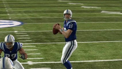 Madden NFL 11 : Division AFC South