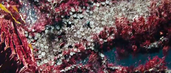 Star Trek Into Darkness - Opening Scene (HD)