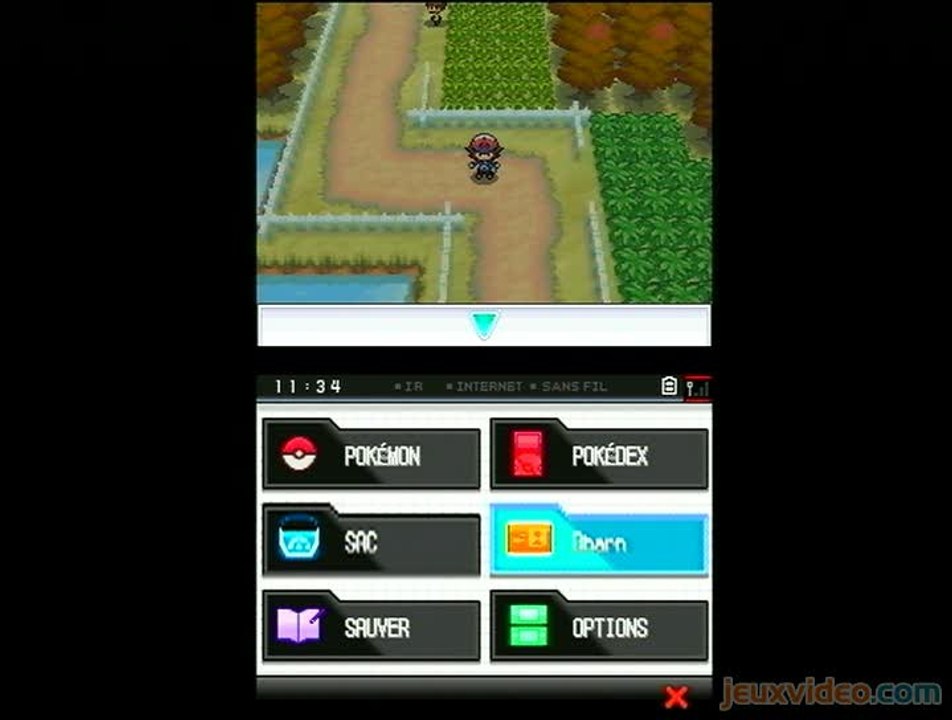 Pokémon Version Noire : 1/2 : Promenade champêtre