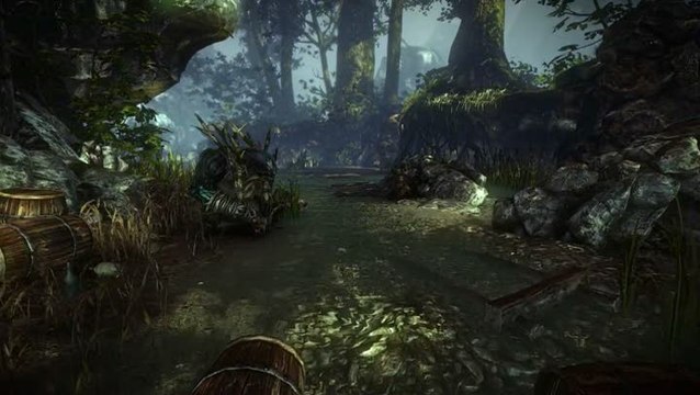 The Witcher 2 : Assassins of Kings : DLC : Troll Trouble