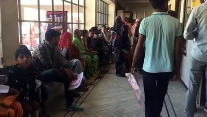 दौसा में महिला चिकित्सक की खुदकुशी का मामला, चिकित्सक विरोध में उतरे