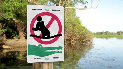 Just Dance 2 : Spot TV