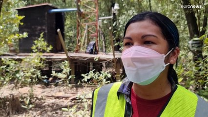 Plastik, Reifen und Schuhsohlen: Der Müll bedroht Panamas Mangrovenwälder