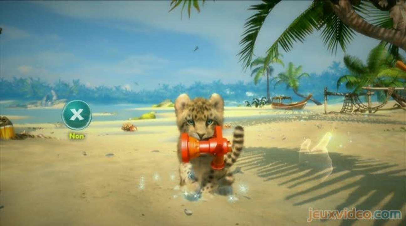 Kinectimals : Activités diverses