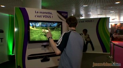 Kinectimals : IDEF 2010