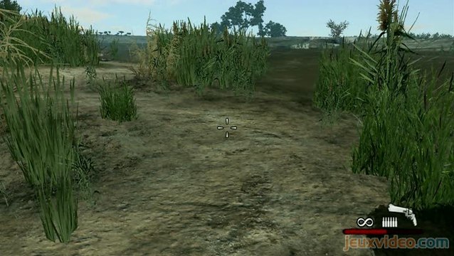 Cabela's Dangerous Hunts 2011 : La savane