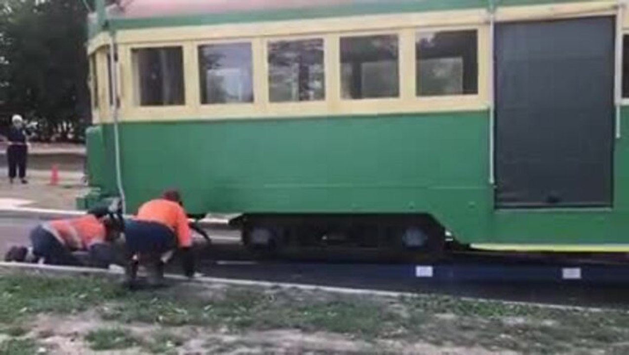 10000000_1391871567661784_6607191312355557376_n