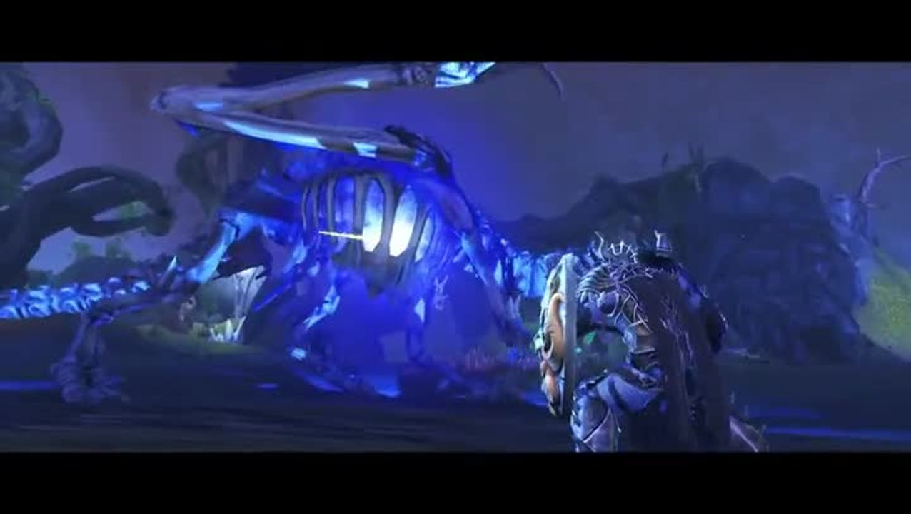 Dungeons & Dragons : Neverwinter : Tyranny of Dragons