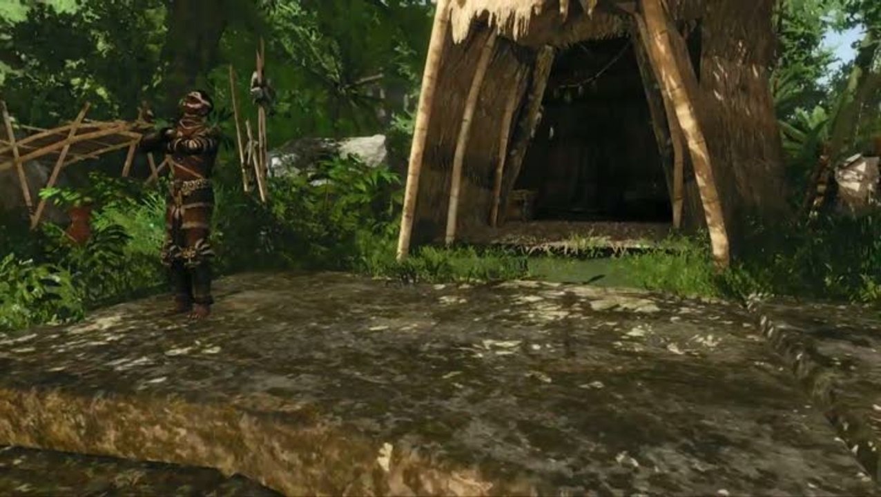 Risen 2 : Dark Waters : Les factions