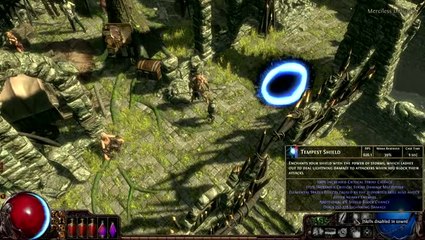 Path of Exile : Le build de la semaine n°6