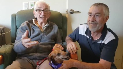 Special visit from Port Macquarie Dachshund Group