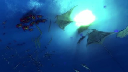 Depth : Aquatic Stealth : Vie aquatique