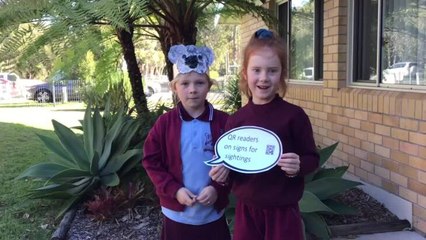 Koala Smart North Haven Public School