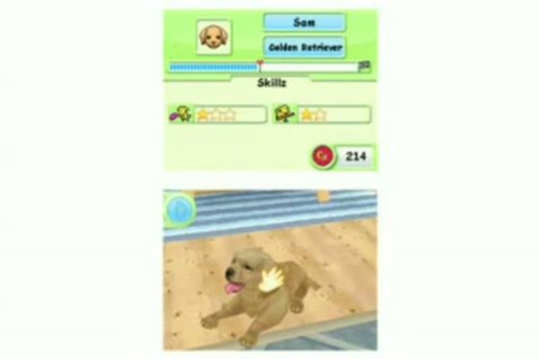 Petz Dog Superstar : Fido numérique