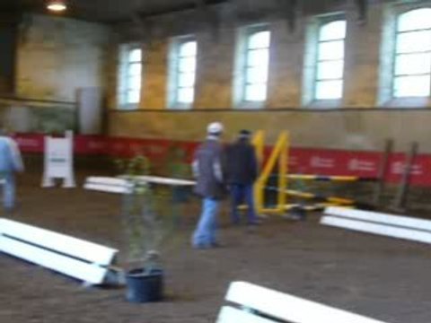 Etalons Haras du Pin Mars 2008 OSIRIS DE ST BARTH 2