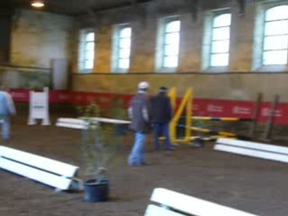 Etalons Haras du Pin Mars 2008 OSIRIS DE ST BARTH 2