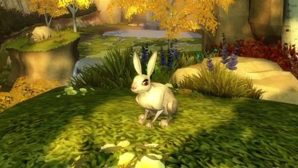 Wildlife : Forest Survival : Et le lapin alors ?