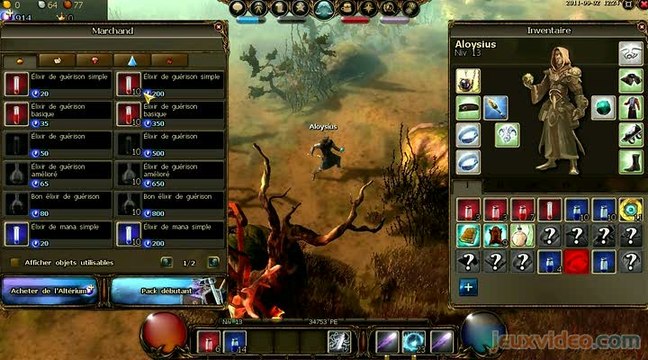 Drakensang Online : 1/2 : Un vrai MMO hack'n slash