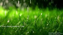 Seu amor é como pingos de chuva, queria que chovesse todos os dias! [Poesia] [Remake] [Frases e Poemas]