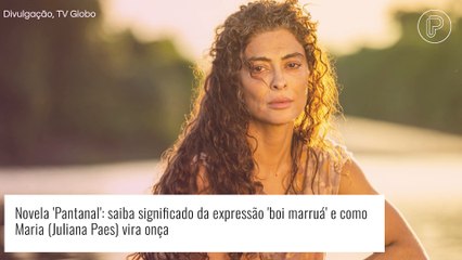 Скачать видео: Novela 'Pantanal' na Globo: o que é o boi marruá? Como Maria vira onça? Descubra!