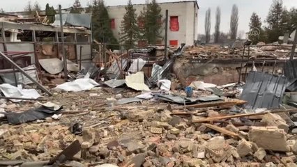 Rusya'nın Ukrayna'ya saldırıları