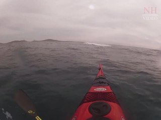 Whale watcher captures humpback breach