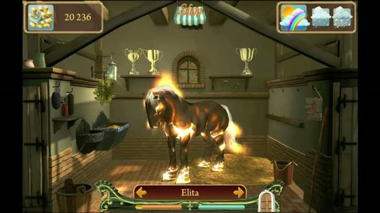 Secret of the Magic Crystals : Pomponnez votre dada