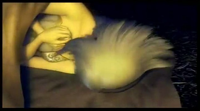 Pandora's Tower : Histoire et personnages