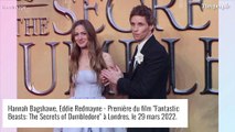 Eddie Redmayne au bras de son épouse, Jude Law très barbu à la première des Animaux Fantastiques