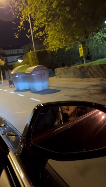 Wild Boars Spotted in Neighborhood