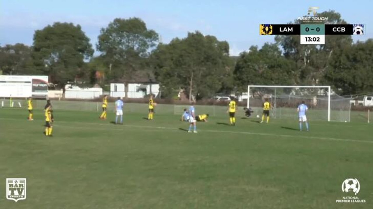 Ferguson goal