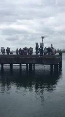 Protestors gather at Queens Wharf on Melbourne Cup Day